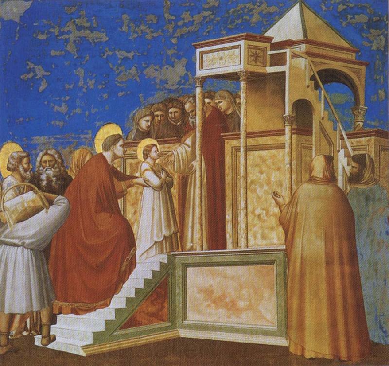 GIOTTO di Bondone Presentation of the Virgin in the Temple Spain oil painting art